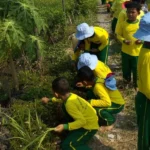Asyiknya Belajar di Sawah, Ini yang Mereka Temukan