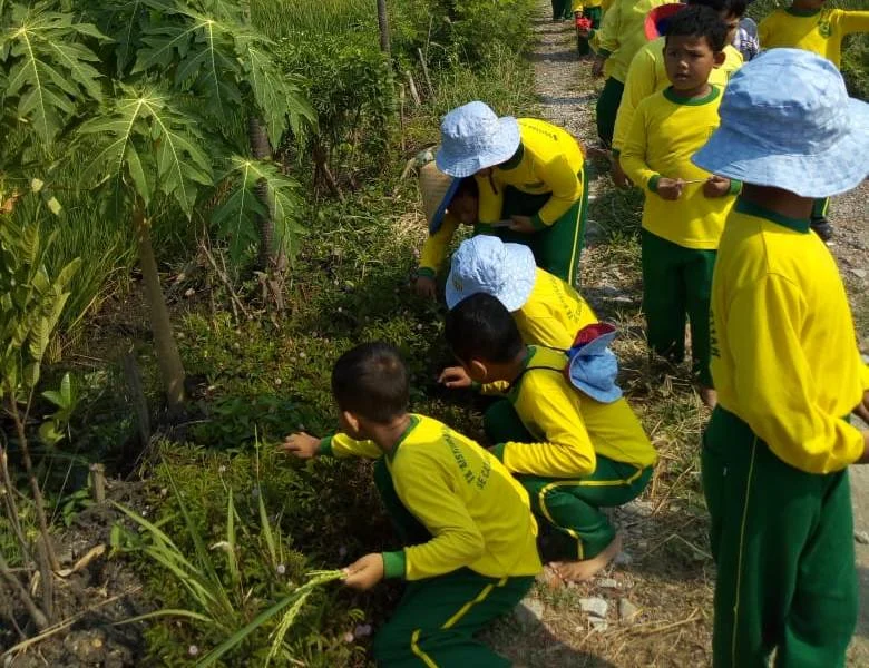 Asyiknya Belajar di Sawah, Ini yang Mereka Temukan