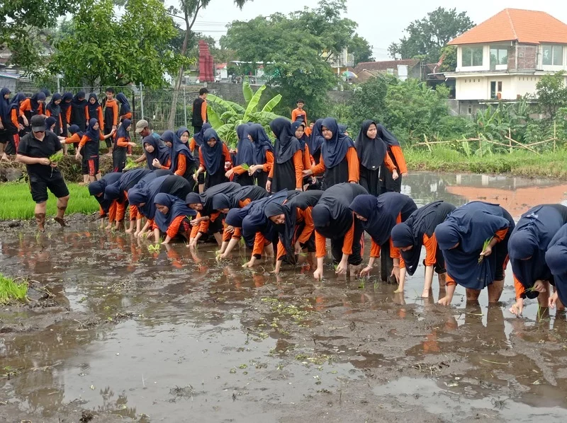 Tanam Padi dan Bajak Sawah, Siswa Spemdalas Seru-seruan saat Gerimis