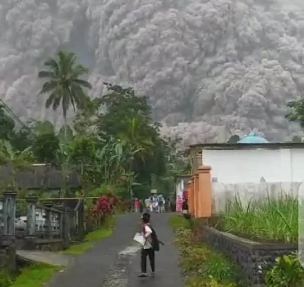 Gunung Semeru Meletus, MDMC Lumajang Lakukan Asesmen dan Evakuasi