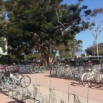 Mahasiswa yang Bersepeda, Berskateboard, dan Berjalan Kaki di Green University