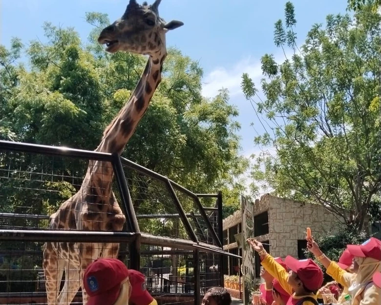 Siswa Kelas 3 SD Muhammadiyah 2 Bojonegoro Belajar Seru di Maharani Zoo
