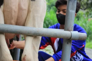 Siswa SMAM 8 Cerme Gresik Nikmati Belajar di Alam