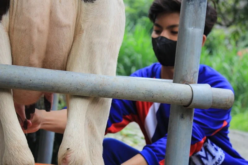 Siswa SMAM 8 Cerme Gresik Nikmati Belajar di Alam