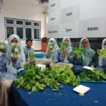 Siswa Spemdalas Panen Sayur Hasil Kebun Hidroponik