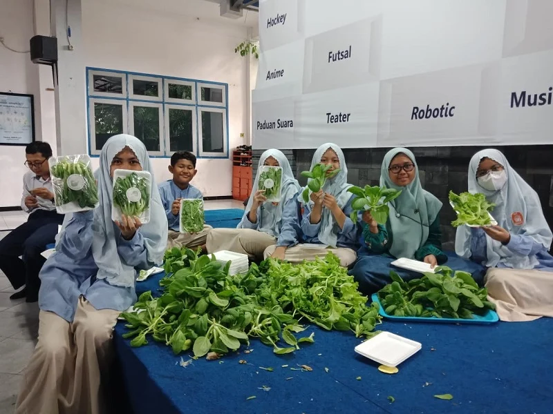 Siswa Spemdalas Panen Sayur Hasil Kebun Hidroponik
