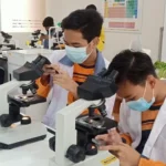 Uprak Siswa Spemdalas Amati Anatomi Tumbuhan