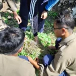 Asyiknya Acara Fortasi Ditutup Panen Sayur