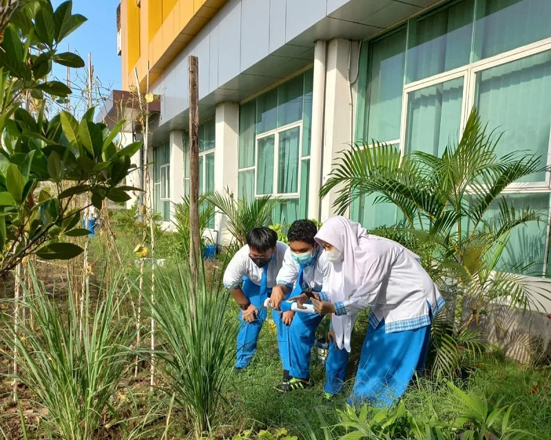 Kerjakan PTS, Siswa Smamio Asyik Teliti Tumbuhan