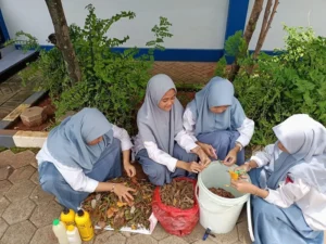 Siswa Smamsi Bikin Pupuk Organik