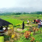 Pemuda yang Suka Mabuk-mabukan Itu, Kini Ikut Harumkan Nama Desa Wisata Pujon Kidul