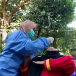 Tes Swab Antigen di Almadany, Hasilnya Mengejutkan