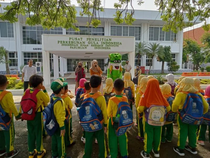 Tanam Tebu Anak TK, Begini Akhirnya