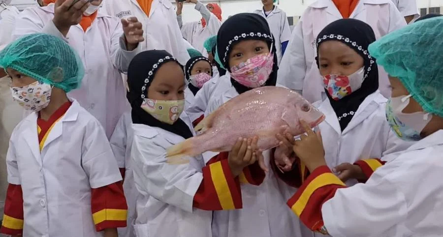 KB dan TK Aisyiyah V Kota Probolinggo Outing Class Koki Kecilku