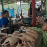 Diajak ke Pasar, Murid-Murid Belanja Titipan Mamanya