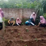 Gerakan Lumbung Hidup, Tak Khawatir meski Harga Cabai Melonjak