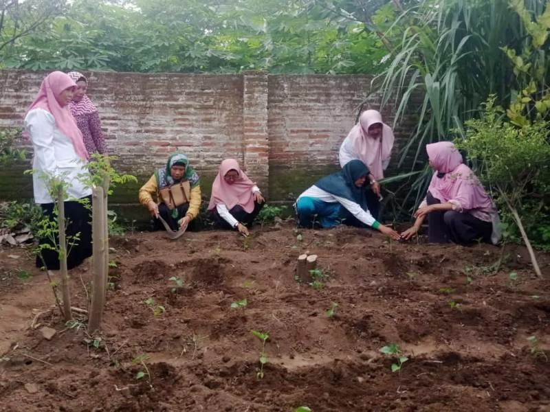 Gerakan Lumbung Hidup, Tak Khawatir meski Harga Cabai Melonjak