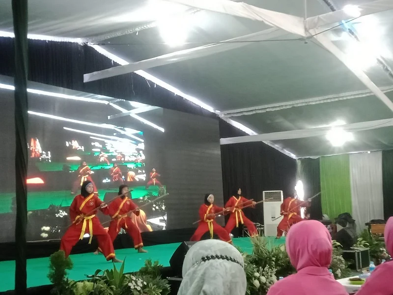 Tapak Suci Tampilkan Aneka Jurus di Pembukaan Musyda