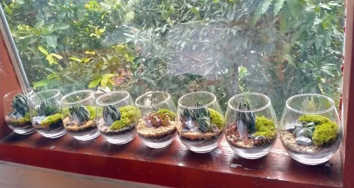 Siswa SD Mudisa Belajar Membuat Terarium ala Jepang