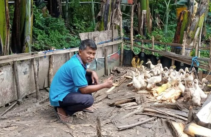 Ternak Bebek Peking, Bisnis Baru PCM Lakarsantri