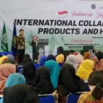 UMG Kerja Sama dengan Jepang, Ini Keuntungannya