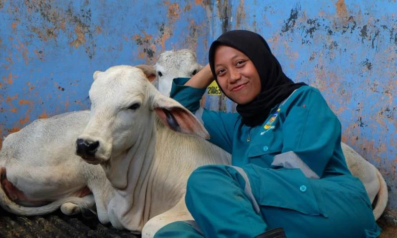 Mahasiswa UMM Ini Lolos Seleksi Belajar Peternakan ke Australia