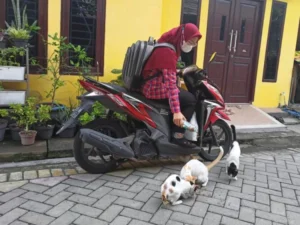 Ummi Hurairah, Sebutan untuk Guru SD Almadany yang Hobi Ini