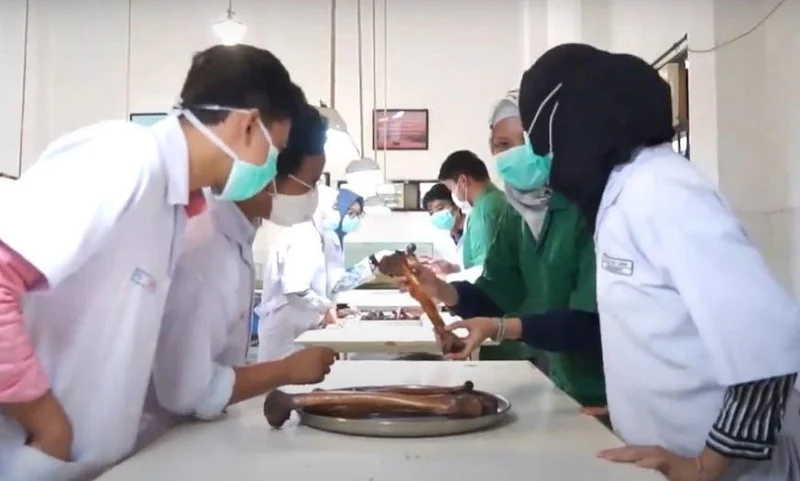 Kelulusan FK UMM di Atas 90 Persen selama Tiga Periode