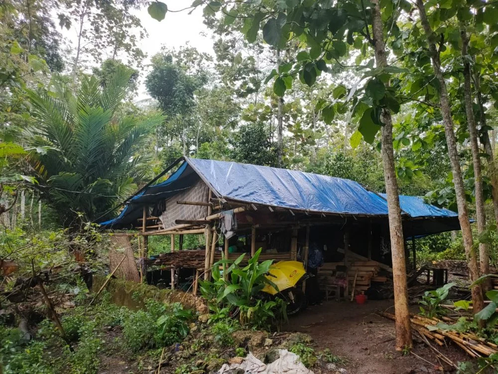 Kisah Pilu Rajianto Sebatang Kara Tinggal di   Tengah Kebun