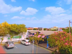 Warna-warni Bunga Tabebuya Indahkan Berlian School