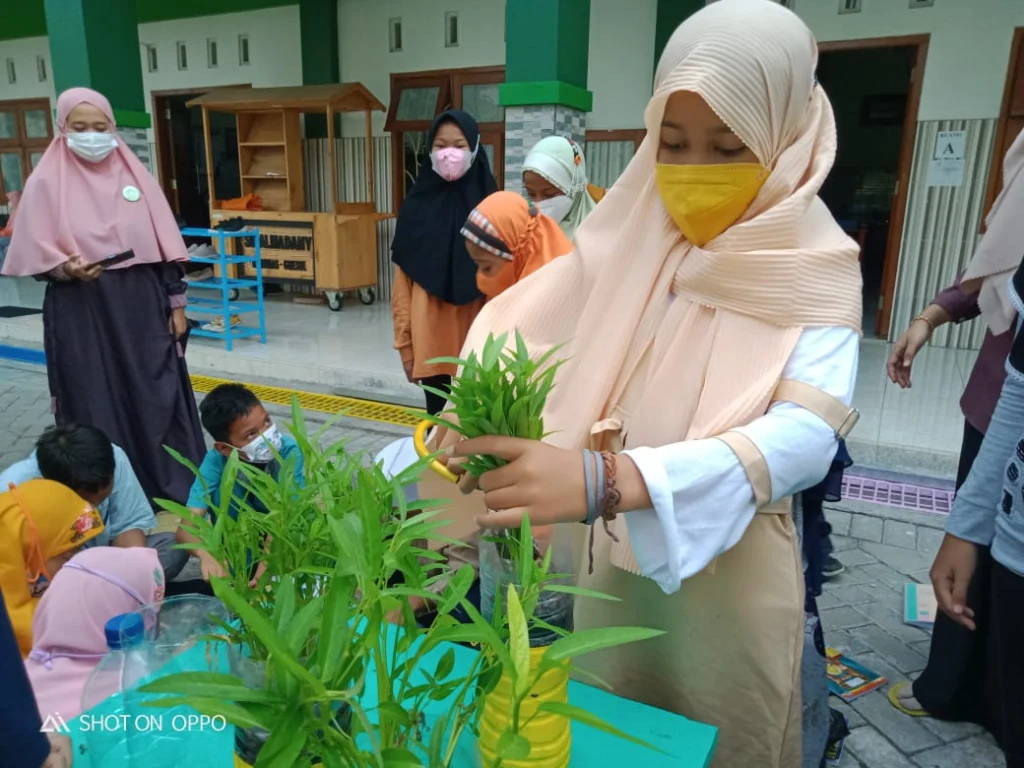 Asyiknya SD Almadany Panen Kangkung Hidroponik