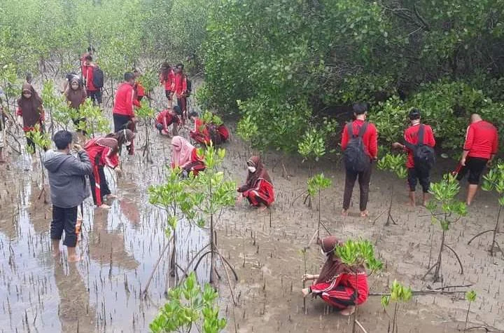 Ekowisata Mangrove Superberu, Jujukan Kegiatan Akhir Semester Smamda