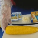 Kreativitas Sate Jasuke Ceriakan Kelas Daring Berlian