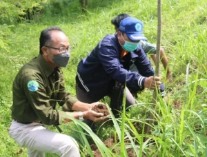 Mapala UM Jember Mitigasi Bencana Daerah Pinggiran Sungai