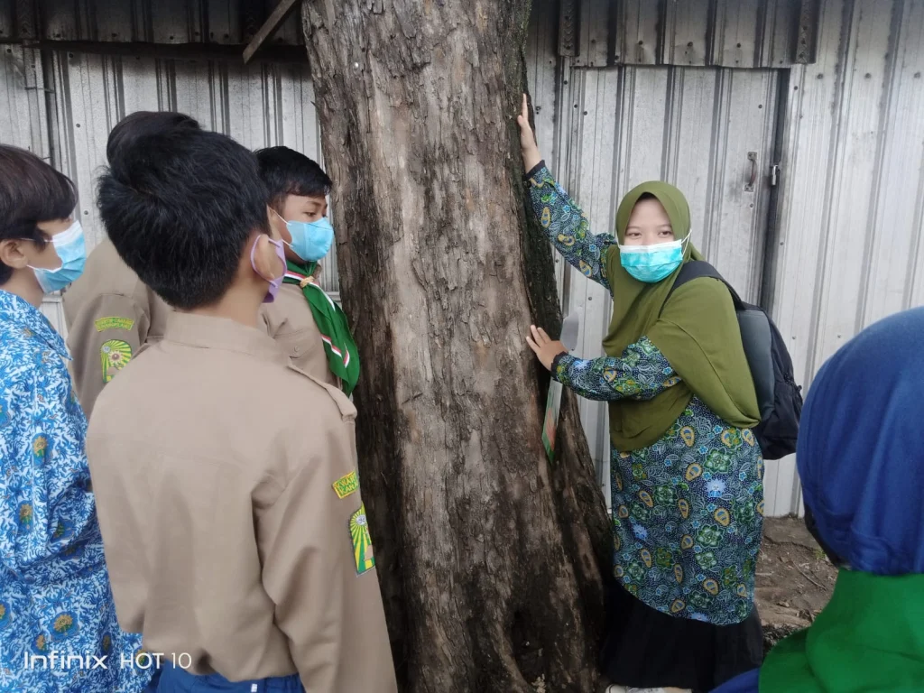 SMP Musix Surabaya Terjunkan Tim Peneliti Pohon, Ini Hasilnya