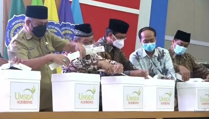 Unit Bisnis Umsida Ekspor Perdana Calladium ke Amerika