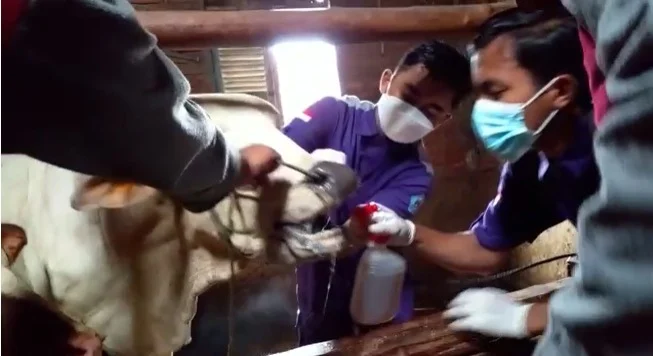 Dusun Cumpleng Darurat PMK, SMK Muhammadiyah 6 Modo Turun Tangan 