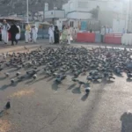 Kisah Dara Al-Hema di Mekah