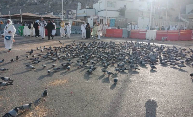 Kisah Dara Al-Hema di Mekah