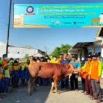 SDMM Baksos Idul Adha di Balongpanggang