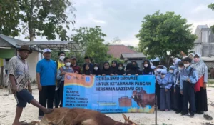 Kurban di Mimsix Sekapuk Bantu Ketahanan Pangan