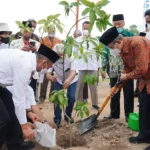 Haedar Nashir Dukung Program Tanam 10 Juta Pohon Menko PMK