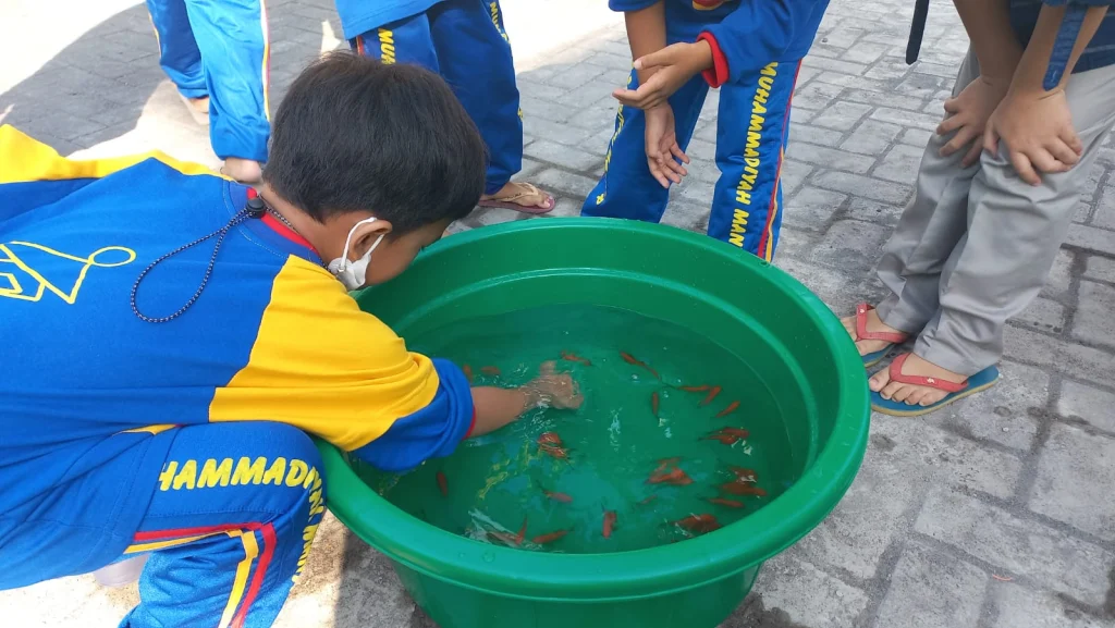SDMM Melatih Motorik Siswa dengan Permainan Tangkap Ikan