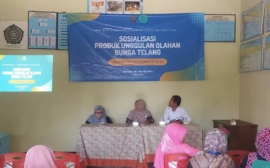 Budidaya Bunga Telang, Ini yang Dilakukan Mahasiswa UMG