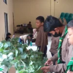 Siswa MIM 1 Pare Belajar Hidroponik bersama Purie Garden