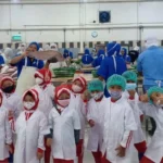 Siswa TK Aisyiyah 1 Kota Probolinggo Kunjungi CV BeeJay Seafoods