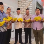 Jatam Lamongan Launching Ripening Pisang Cavendish