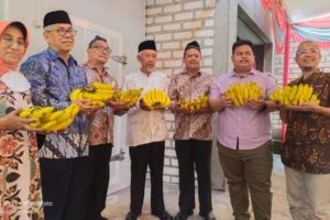 Jatam Lamongan Launching Ripening Pisang Cavendish