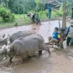 Siswa Sekolah Kreatif Baratajaya Belajar Jadi Petani di WTC