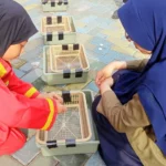 Siswa SD Sakri Praktik Menanam Kangkung secara Hidroponik